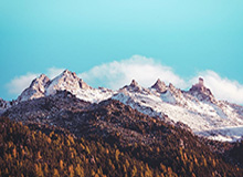 乐彩网互动社区-国王GM：望希尔德全力以赴 因空间无法留下博格丹